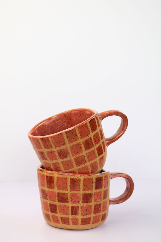 Multicolor Checkered Mug